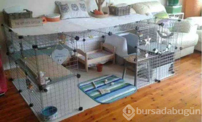 Hayvanları için herşeyi yapan insanlar...