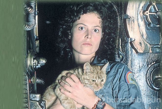 Ripley yalnız dön!
