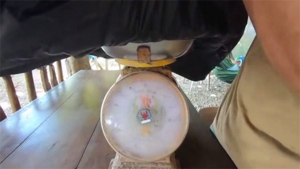 Ne olduğu bilinmiyor! Fiyatı yarım milyon dolar...

