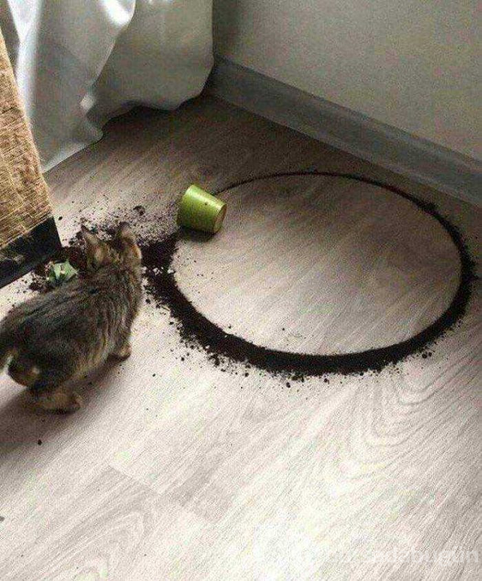 Günün en çok paylaşılan fotoğrafları
