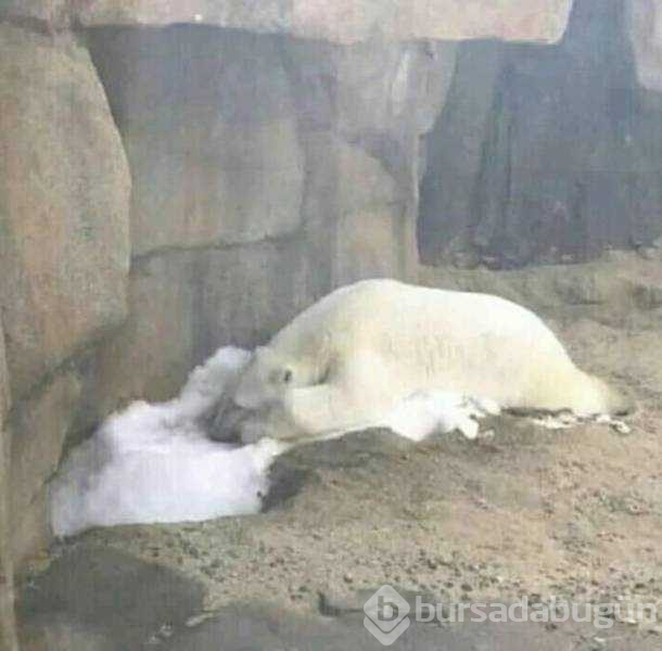 Günün en çok paylaşılan fotoğrafları
