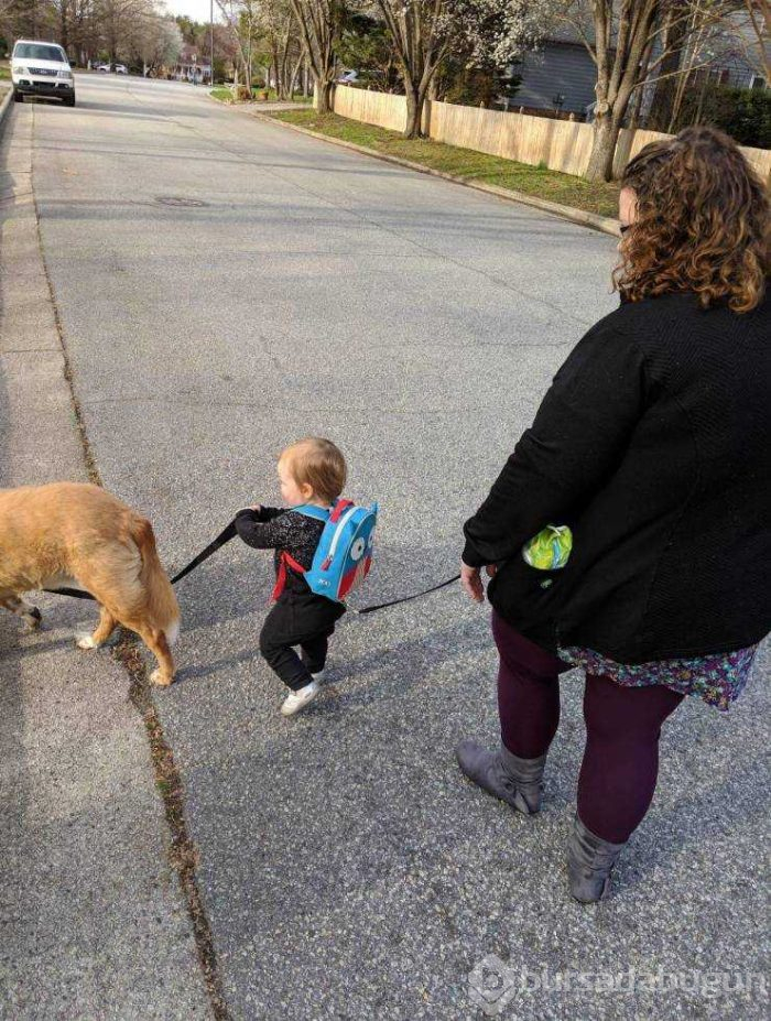 Günün en çok paylaşılan fotoğrafları
