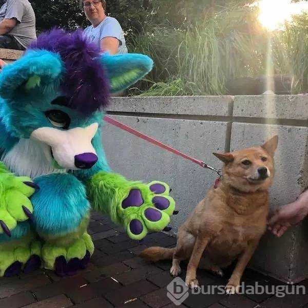Günün en çok paylaşılan fotoğrafları

