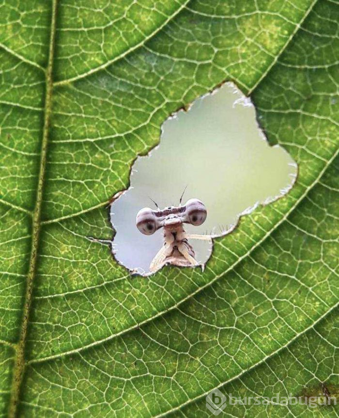 Günün en çok paylaşılan fotoğrafları
