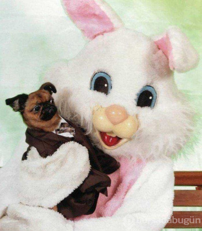 Günün en çok paylaşılan fotoğrafları
