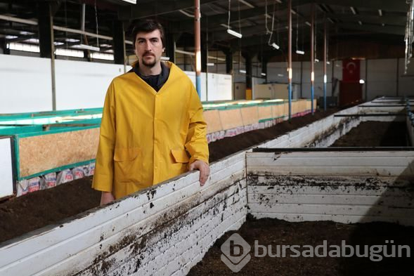 Bu iş için memurluğu bıraktı! Şimdi paraya para demiyor
