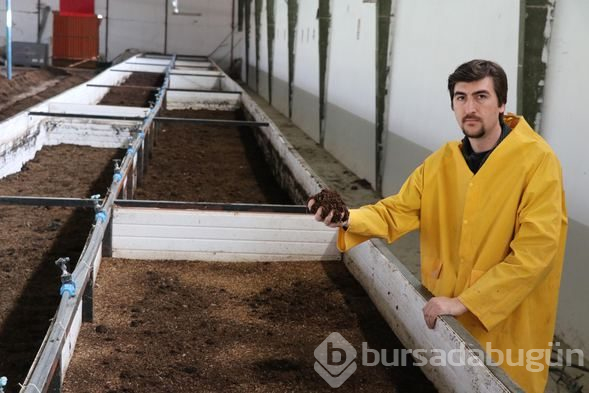 Bu iş için memurluğu bıraktı! Şimdi paraya para demiyor
