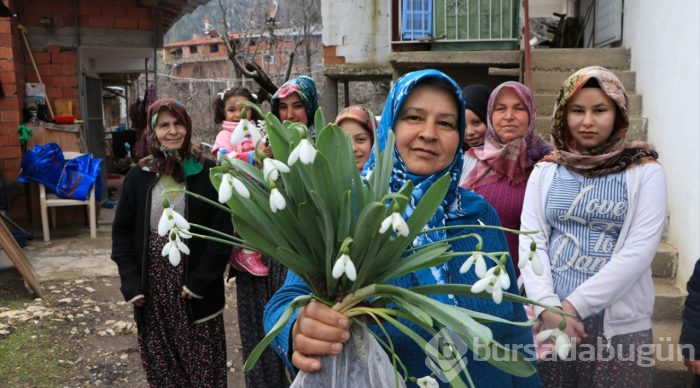 Dumlugöze'nin kardelenleri için yeni pazar aranıyor
