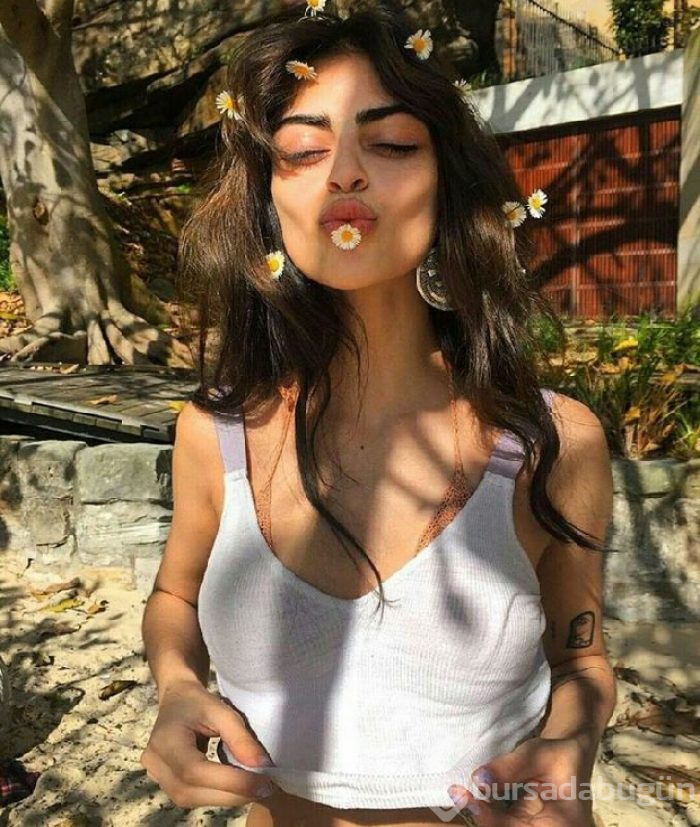 Newsha Syeh