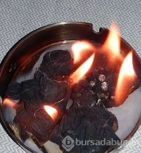 Cinler sosyal medyaya musallat oldu!

