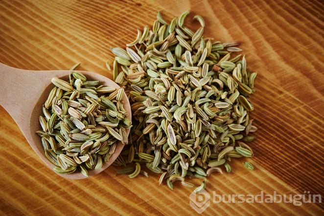 Alkali beslenmeye uygun besinler
