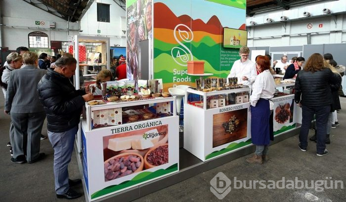 Gördüklerinizin hepsi çikolatadan yapıldı...
