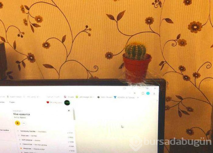Günün en çok paylaşılan fotoğrafları (06.03.2019)