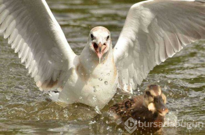 Günün en çok paylaşılan fotoğrafları (06.03.2019)