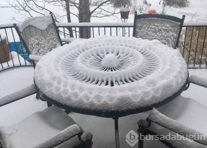 Günün en çok paylaşılan fotoğrafları (06.03.2019)