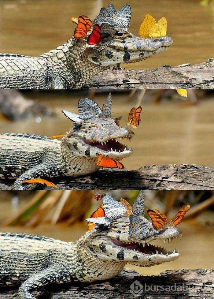 Günün en çok paylaşılan fotoğrafları (06.03.2019)