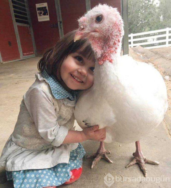 Günün en çok paylaşılan fotoğrafları (06.03.2019)