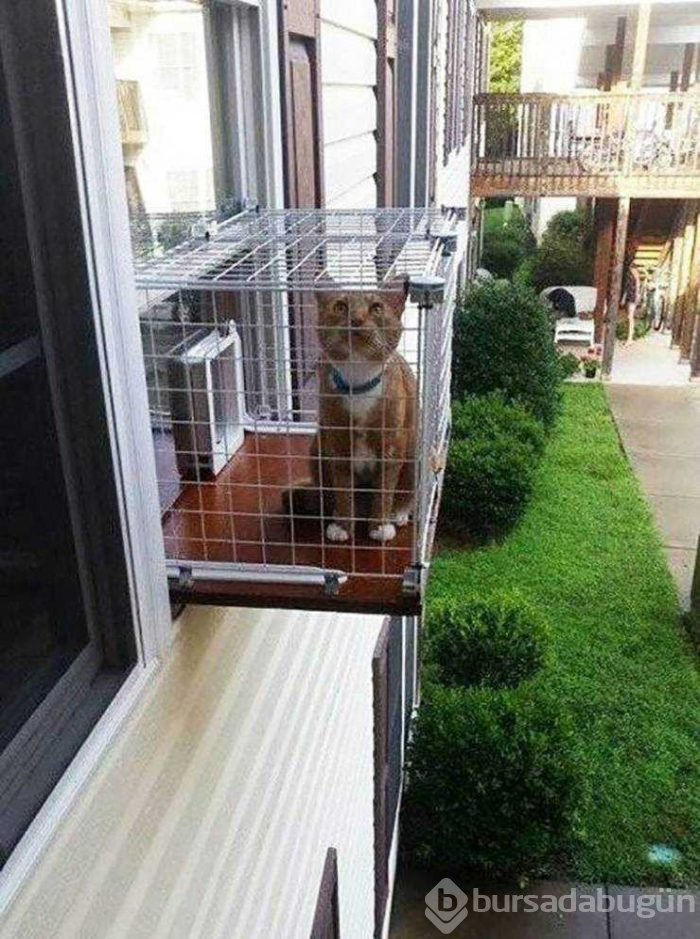 Günün en çok paylaşılan fotoğrafları (06.03.2019)