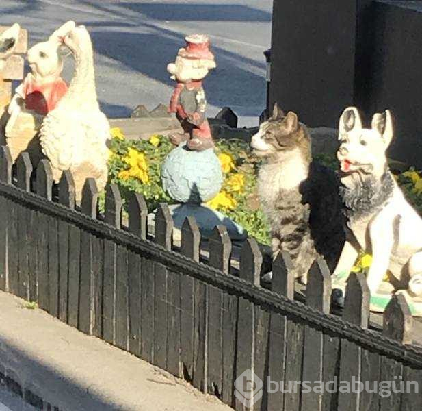 Günün en çok paylaşılan fotoğrafları (06.03.2019)