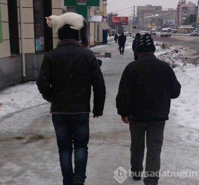 Günün en çok paylaşılan fotoğrafları (06.03.2019)