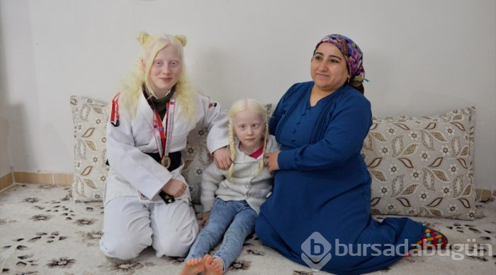 Judoda şampiyonluklara ambargo koydu
