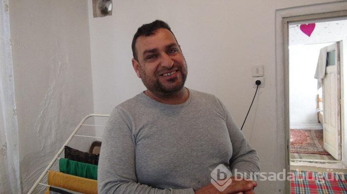 Yer: Çorum... Duvardan çıkan ağaç görenleri şaşırtıyor

