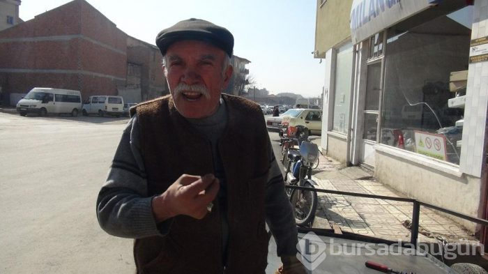 Yer: Çorum... Duvardan çıkan ağaç görenleri şaşırtıyor
