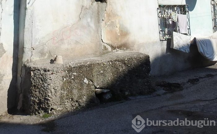 Yer: Çorum... Duvardan çıkan ağaç görenleri şaşırtıyor
