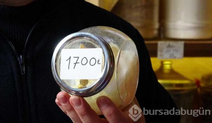 Damla sakızının kilosu 1700 lira
