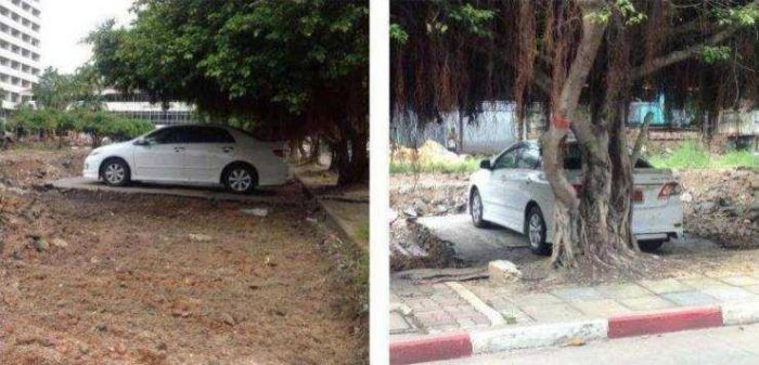 Günün en çok paylaşılan fotoğrafları (07.03.2019)