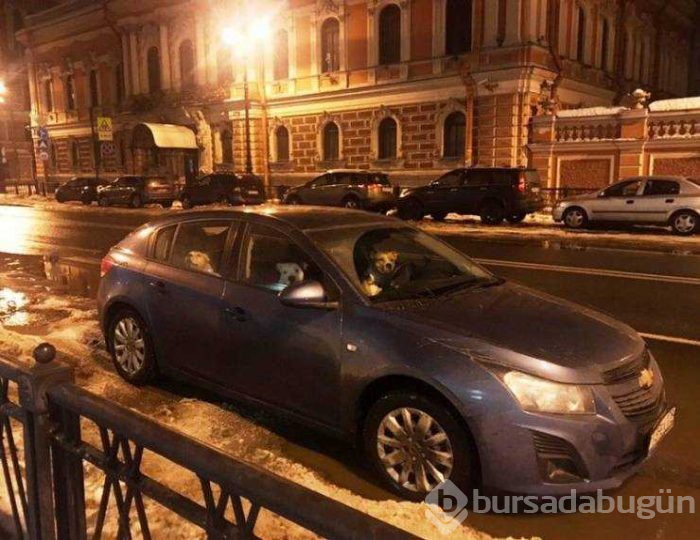 Günün en çok paylaşılan fotoğrafları (07.03.2019)