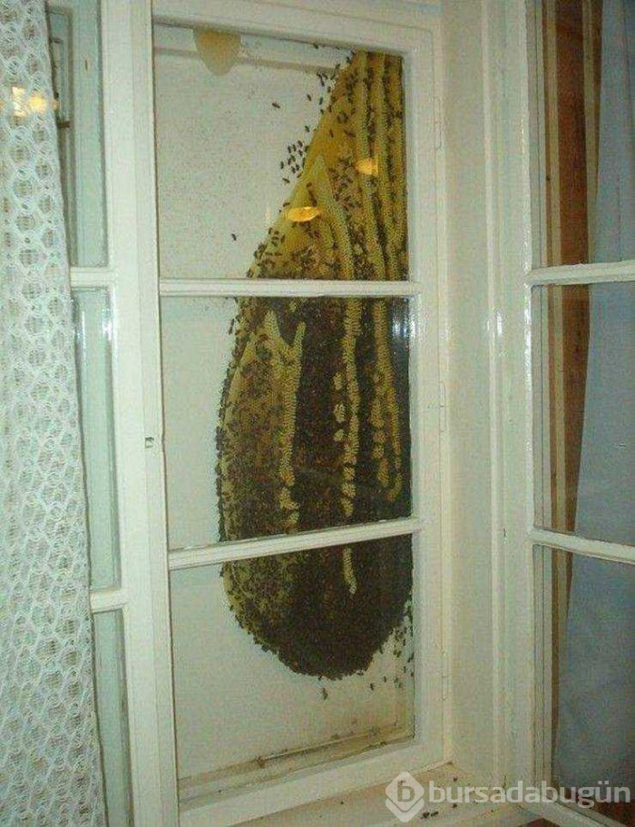 Günün en çok paylaşılan fotoğrafları (07.03.2019)
