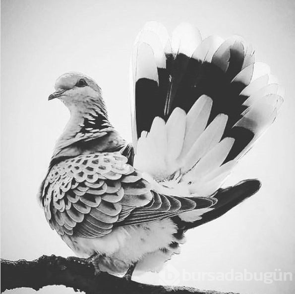 Instagram'da ünlüler (6-7 Mart 2019)
