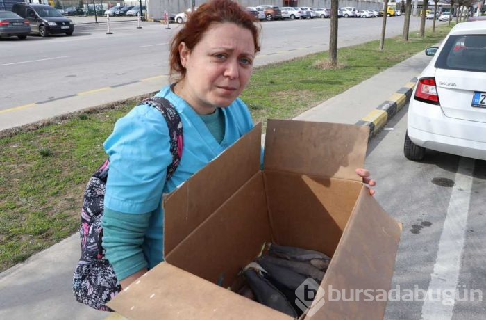 Kapıkule Sınır Kapısı'nda kaçak olarak sokulmak istenen papağanlar ele geçirildi


