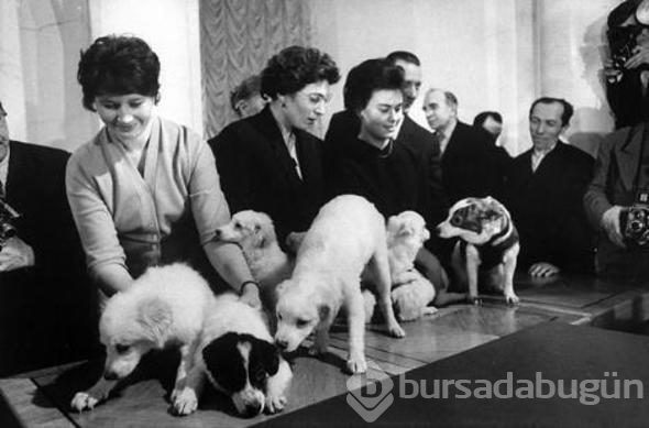 Uzaya yollanan hayvanlar ve hazin sonları
