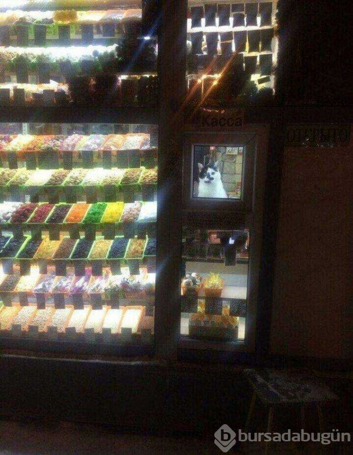 Günün en çok paylaşılan fotoğrafları (08.03.2019)