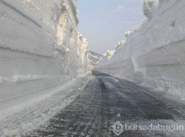 Günün en çok paylaşılan fotoğrafları (08.03.2019)