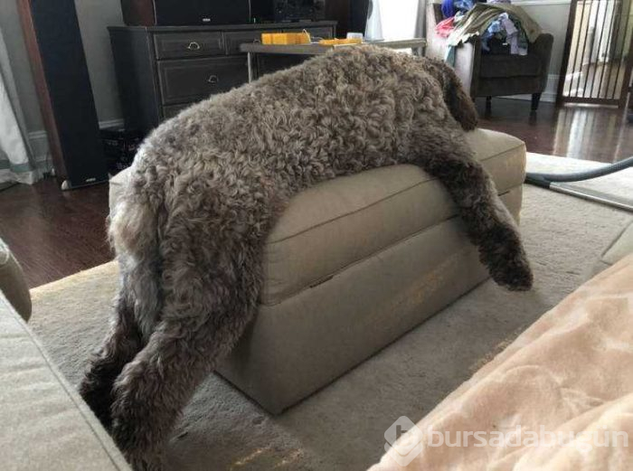 Günün en çok paylaşılan fotoğrafları (08.03.2019)
