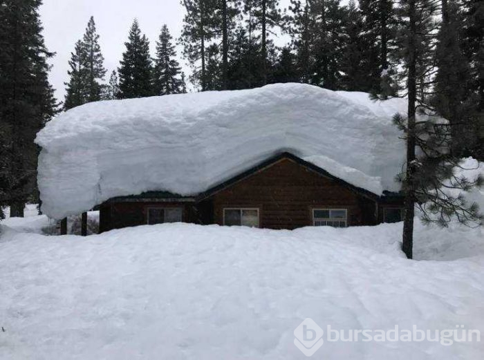 Günün en çok paylaşılan fotoğrafları (08.03.2019)