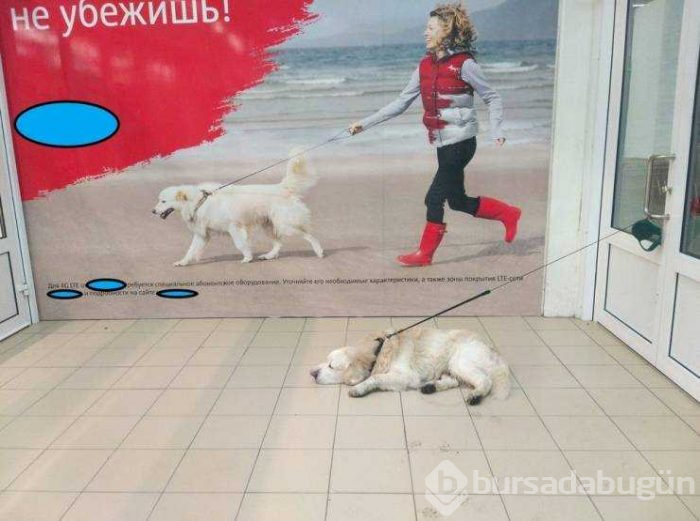 Günün en çok paylaşılan fotoğrafları (08.03.2019)