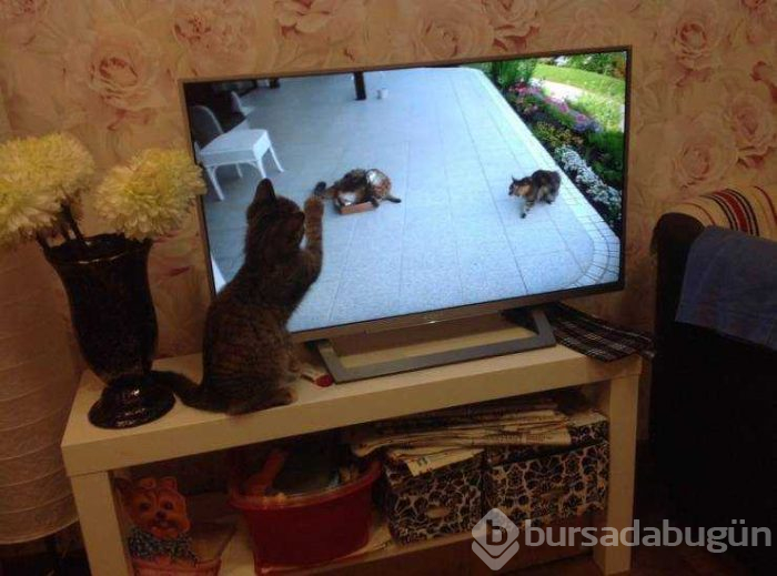 Günün en çok paylaşılan fotoğrafları (08.03.2019)