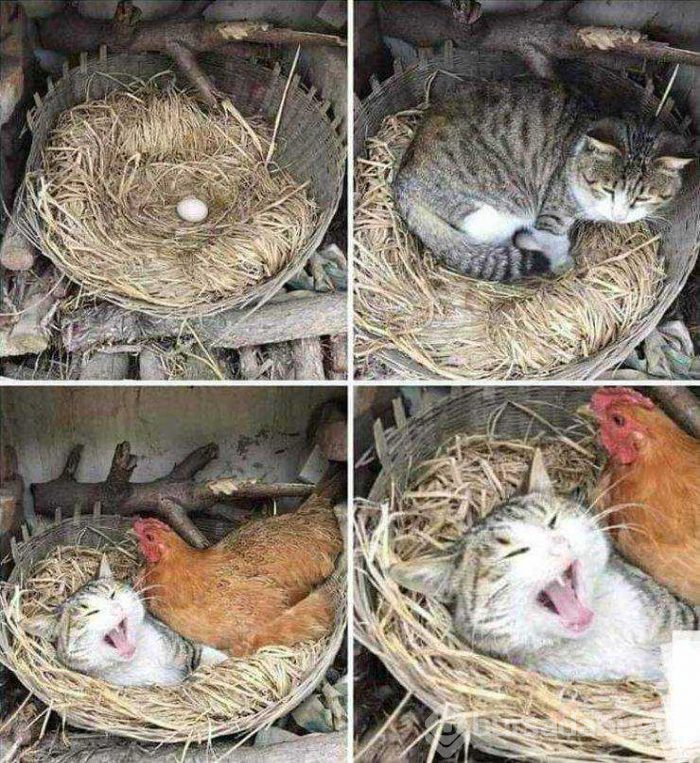 Günün en çok paylaşılan fotoğrafları (08.03.2019)
