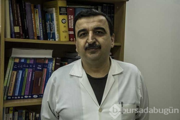 Hatay'da dört ayaklı civciv dünyaya geldi
