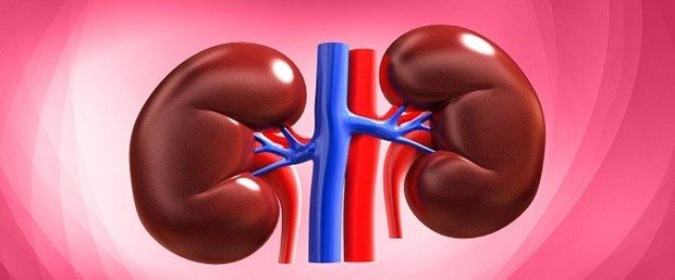 Böbrek sağlığınızı korumak için beslenmenize dikkat etmelisiniz
