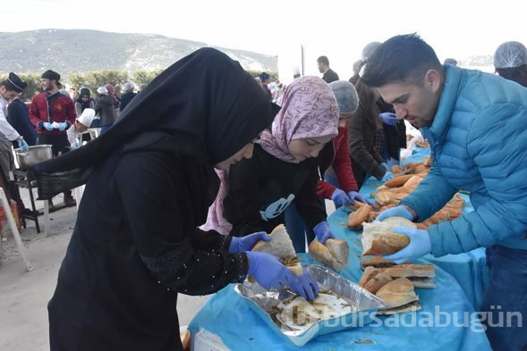 Şölende 6 ton hamsi dağıtıldı
