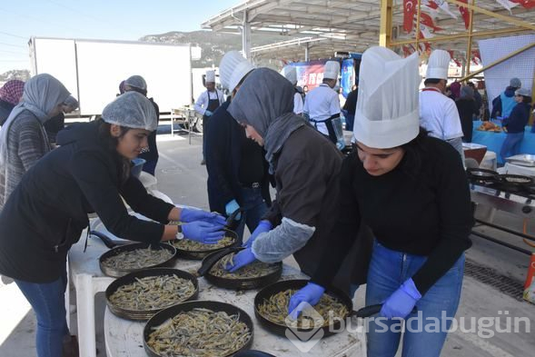 Şölende 6 ton hamsi dağıtıldı
