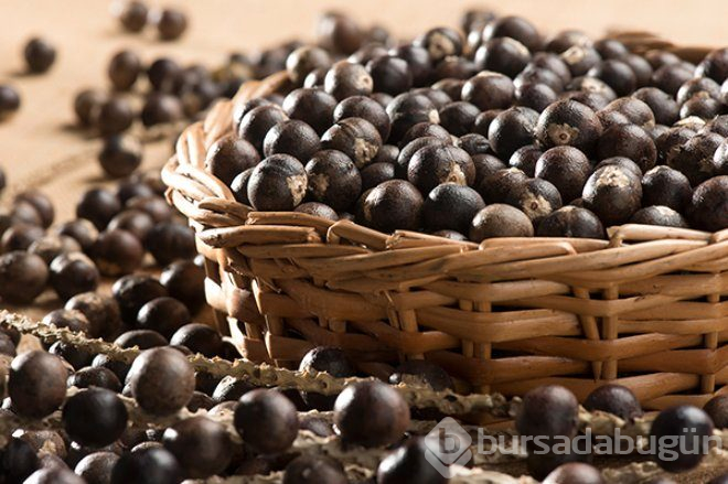 Bu meyve, kanserli hücrelerin korkulu rüyası!