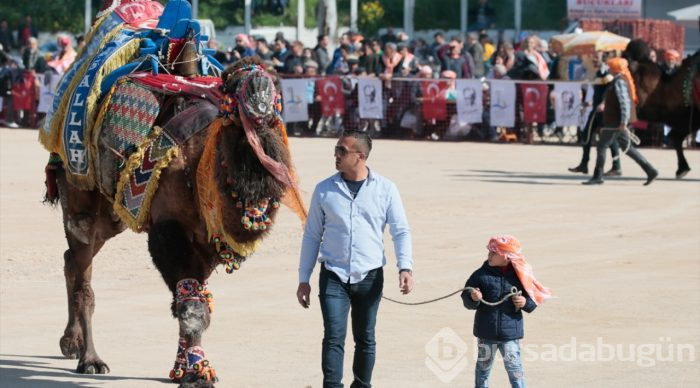 İzmir'de deve güreşi festivali
