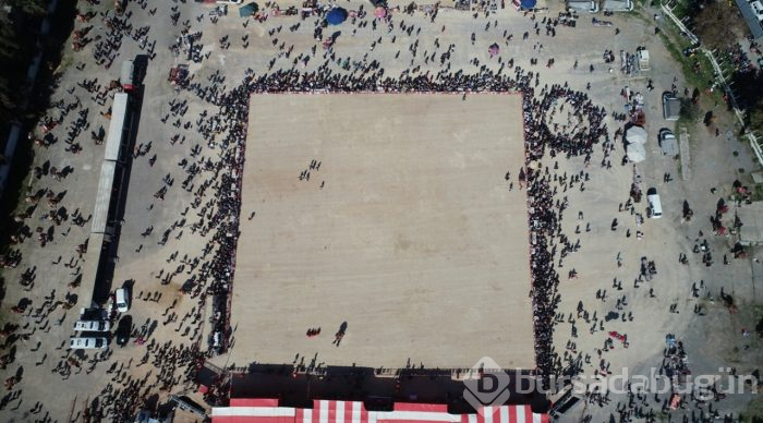 İzmir'de deve güreşi festivali
