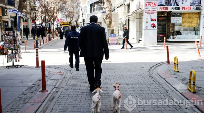 İkiz kuzulara "bebek gibi" bakıyor
